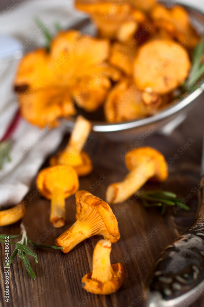 Chanterelles in sieve Chanterelles in sieve