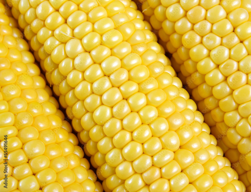 Sweet corn Sweet corn