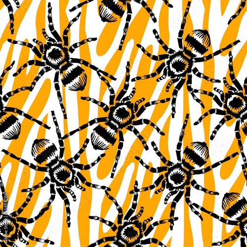 Tarantula spiders seamless pattern photo