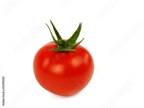 frische tomate