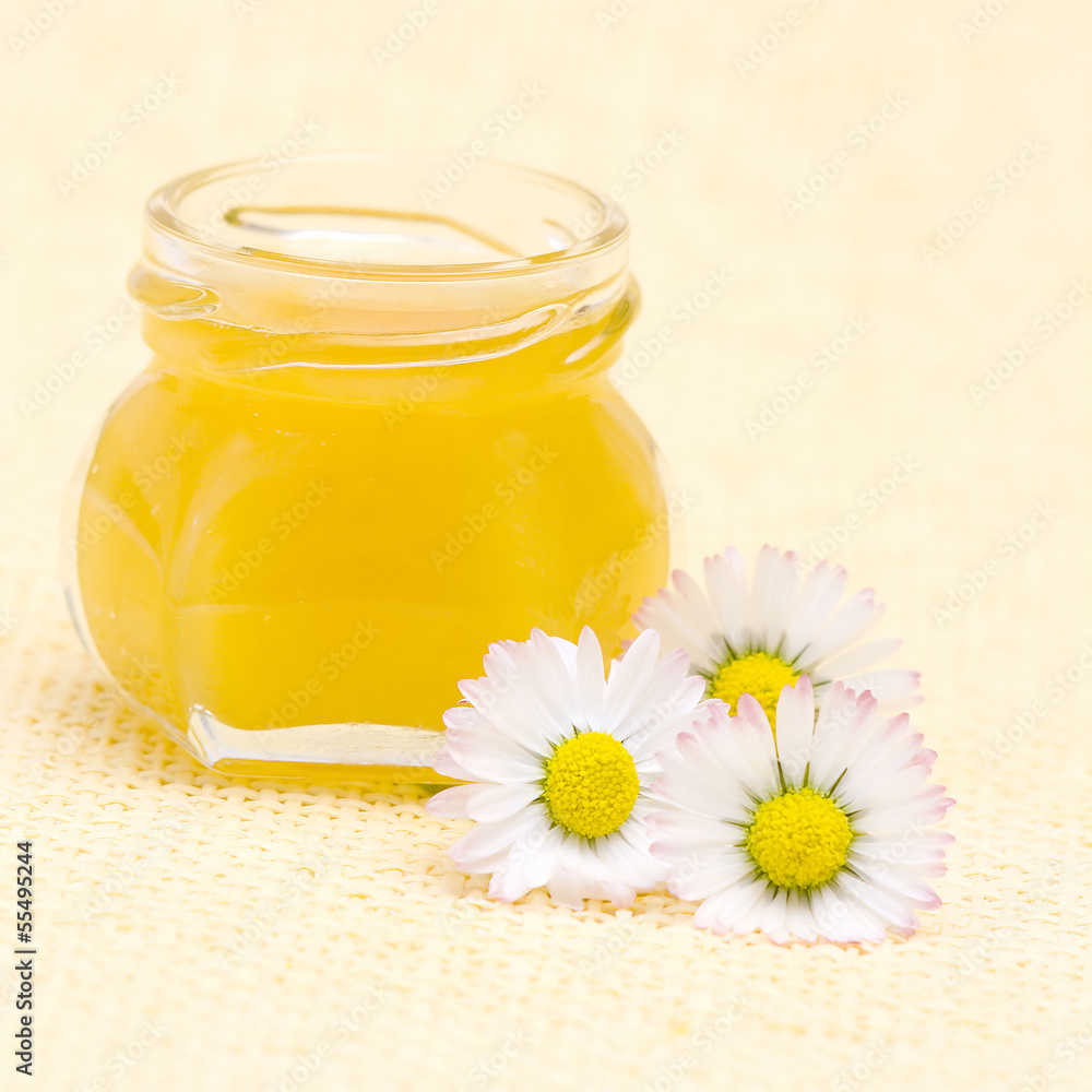 honey and daisies honey and daisies