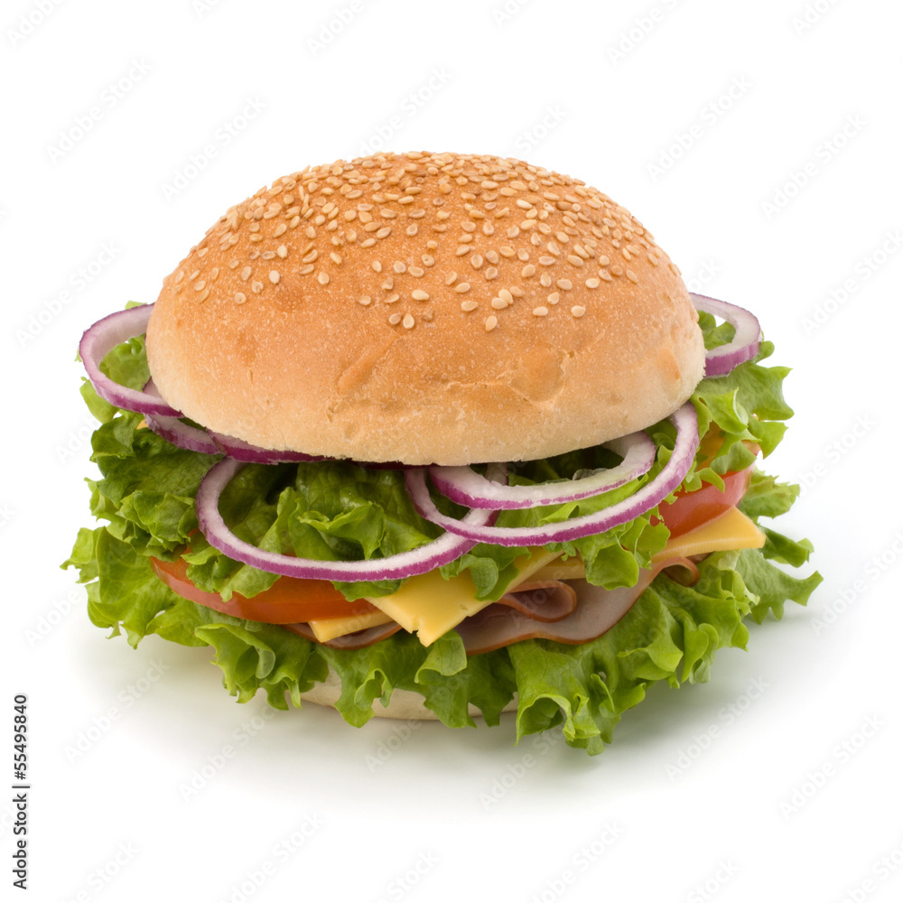 Junk food hamburger