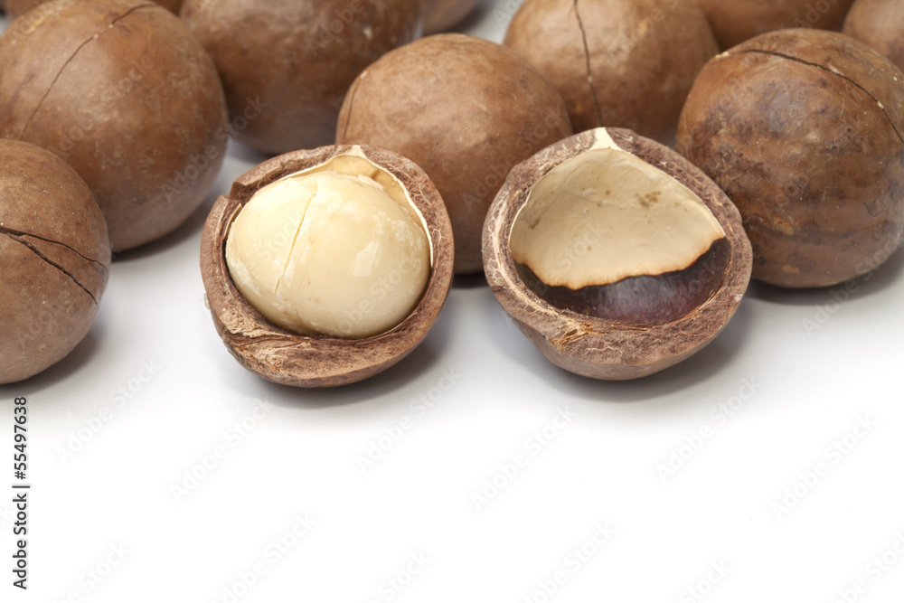 Macadamia fruit isolated on the white background Macadamia fruit isolated on the white background