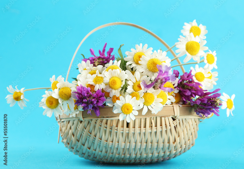 Beautiful wild flowers in basket, on blue background