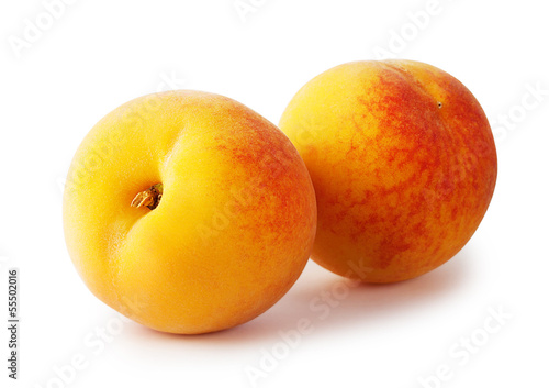 Two ripe yellow apricots