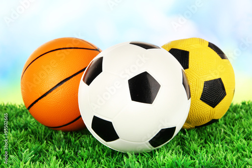Sport balls, on green grass, on bright background