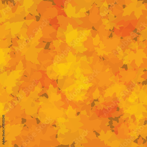 Autumn background with leaves