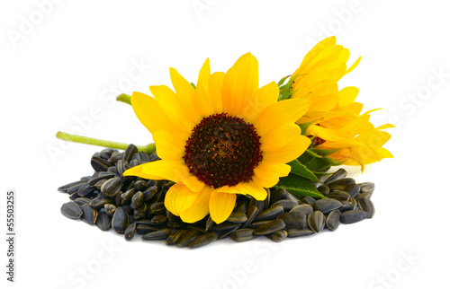 Decorative sunflowers with seeds.