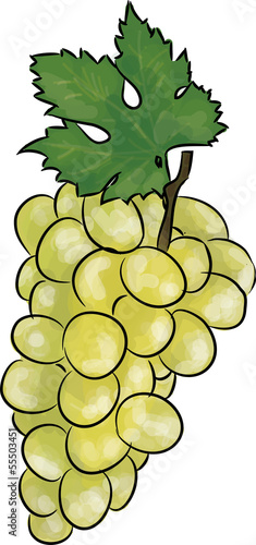 wein weiß weintraube