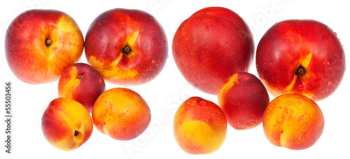 ripe nectarines