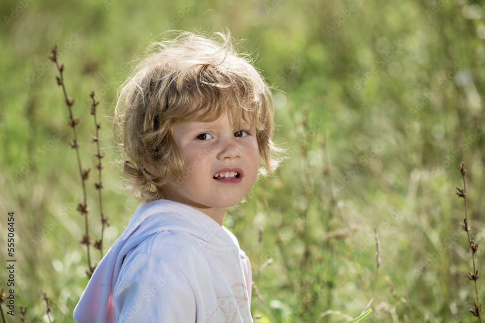 Portrait of the little girl on a background of a summer glade Portrait of the little girl on a background of a summer glade