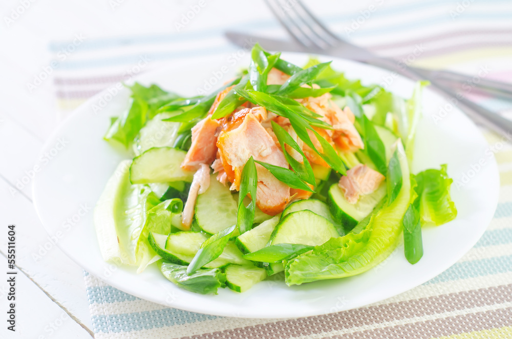 salad with salmon and cucumber salad with salmon and cucumber