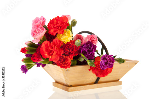 Little Dianthus in basket