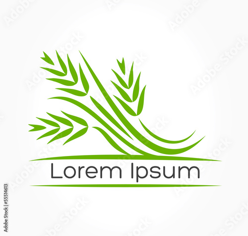 wheat ears vector logo