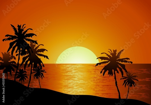 beach background