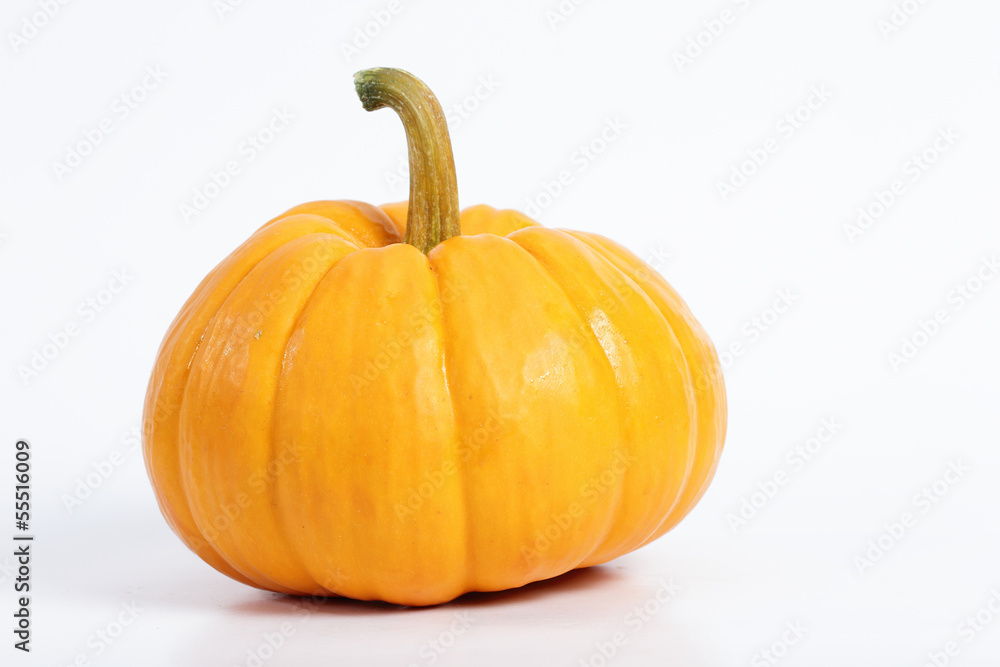 Obraz premium pumpkin