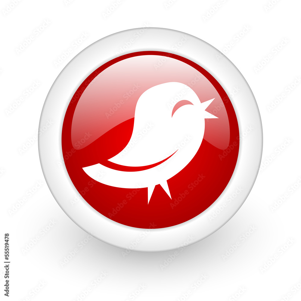 twitter icon twitter icon