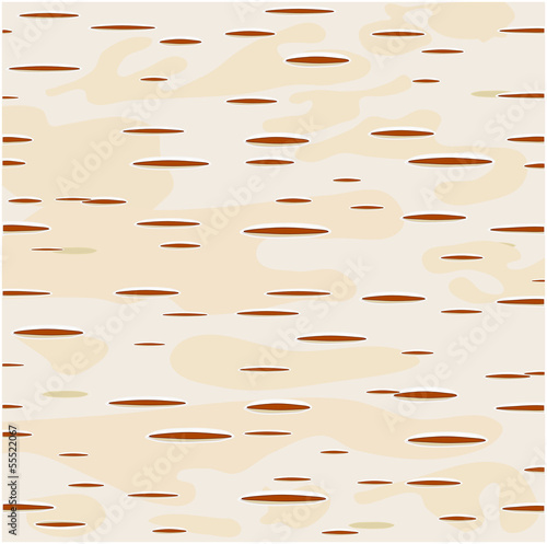 Young birch bark - vector illustration.
