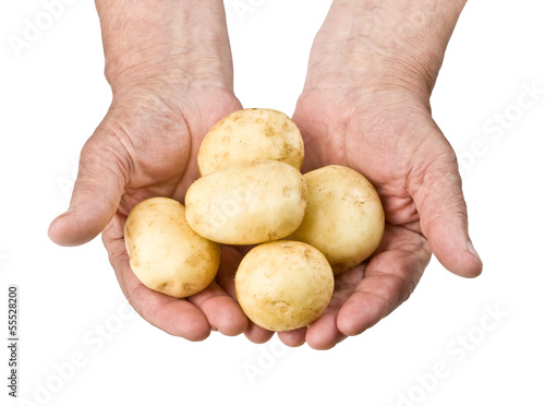 Fresh raw potato
