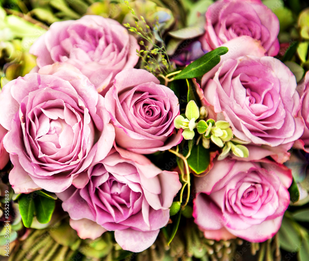 Fototapeta premium pink roses
