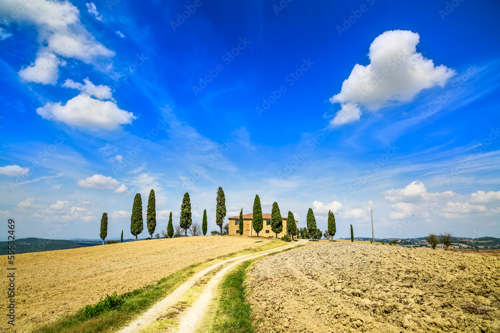 Tuscany farmland, trees and road. Siena, Val d Orcia, Italy.