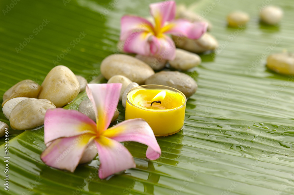 plumeria and therapy stones and banana leaf texture plumeria and therapy stones and banana leaf texture