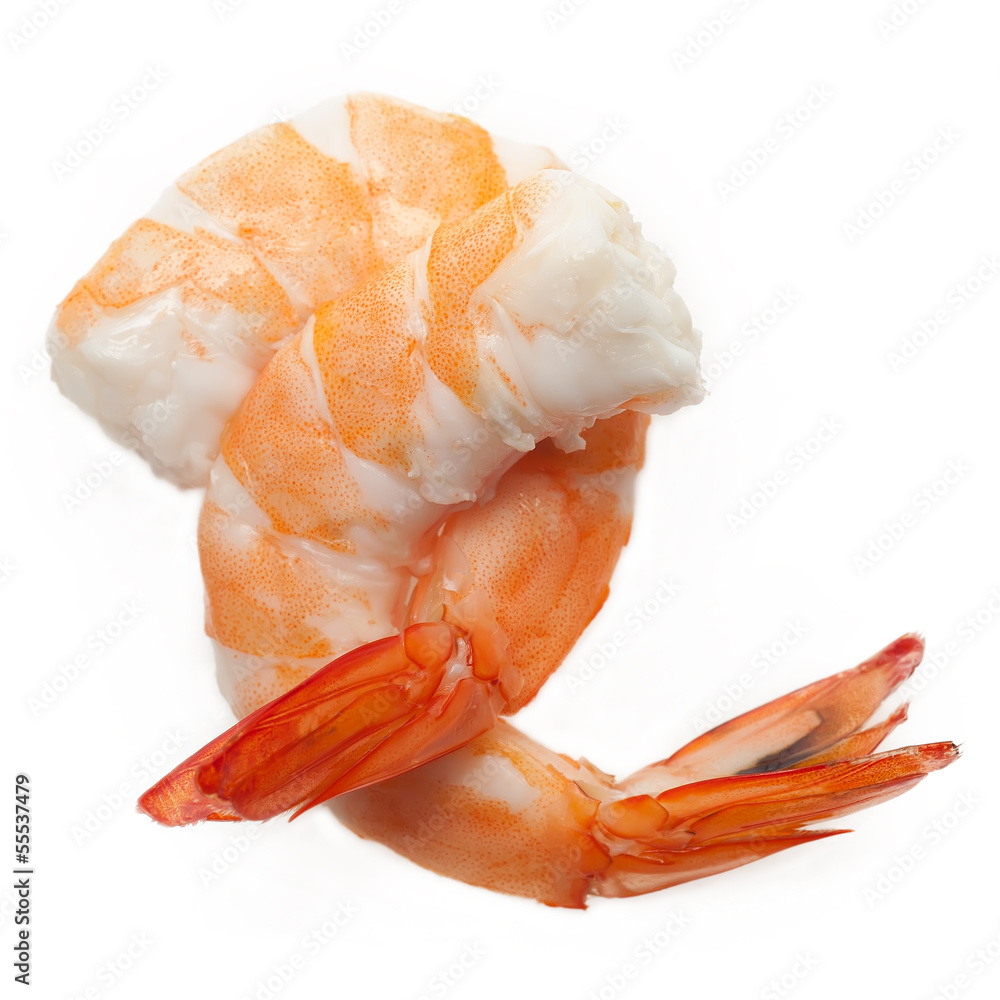 Close up shrimp isolated on white background