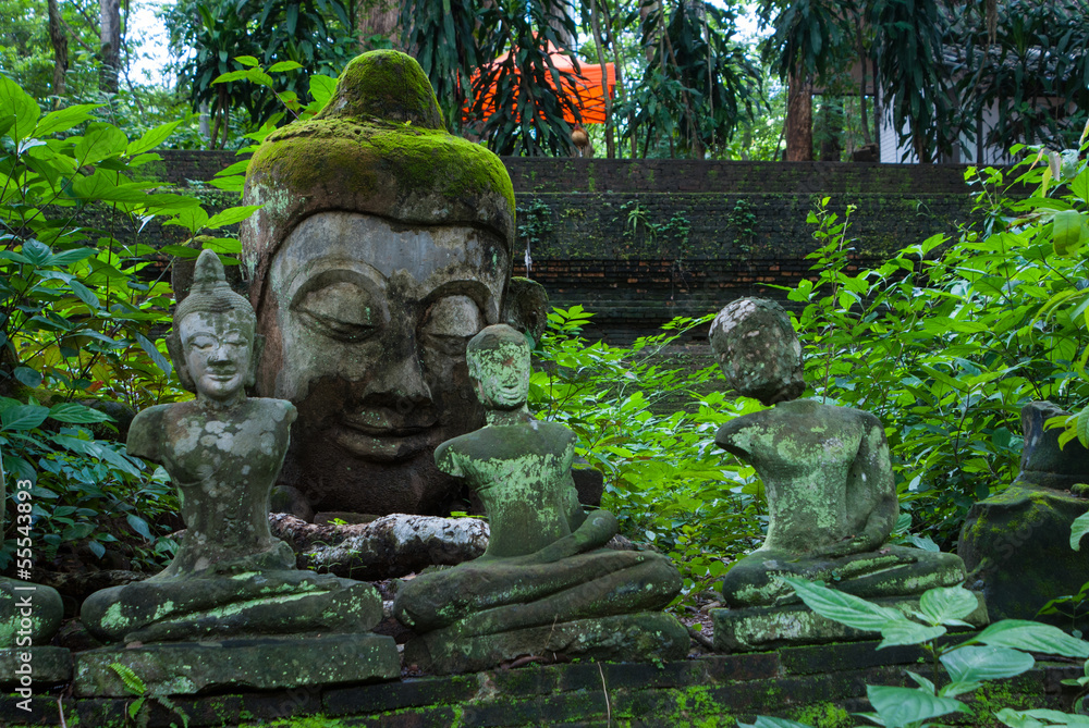 Broken statues of Buddha in a forest temple