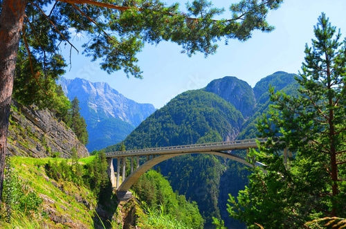 Bridge in the Alps