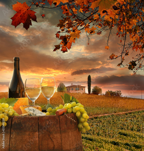 Fototapeta Naklejka Na Ścianę i Meble -  White wine with barell  in vineyard, Chianti, Tuscany, Italy