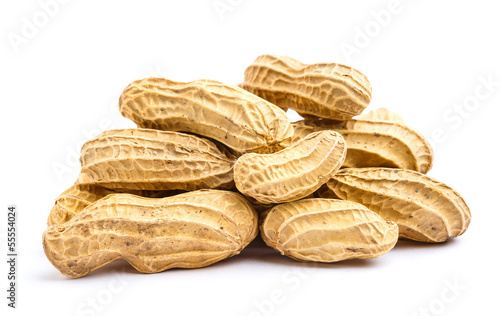 Peanut isolated on white