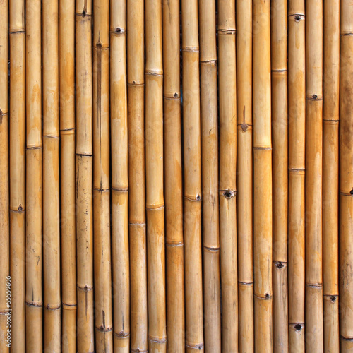 Fototapeta Naklejka Na Ścianę i Meble -  Bamboo fence