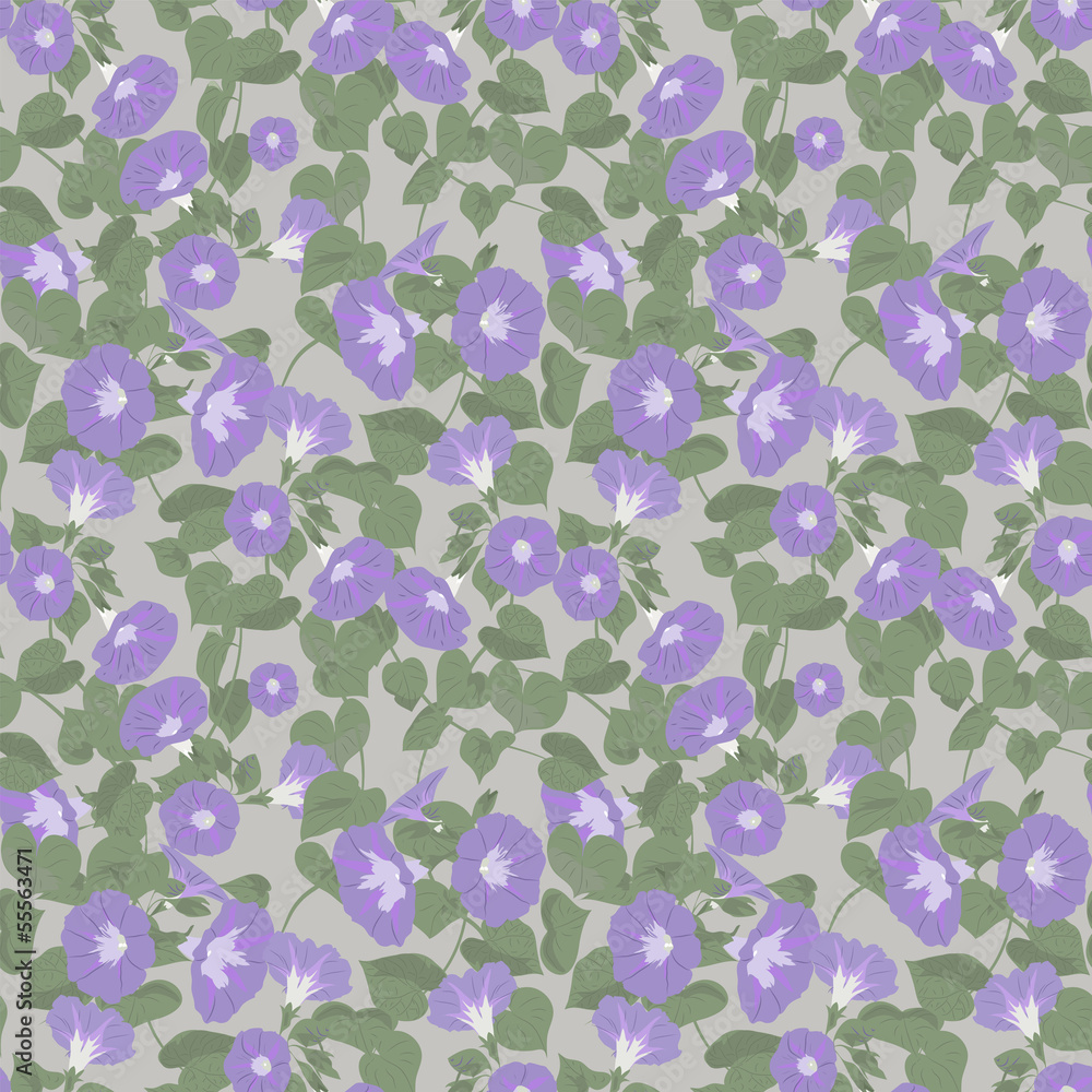 Floral pattern with morning glory