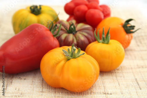 tomates vari  t  s anciennes