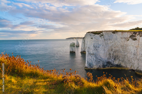 Old Harry Rocks Dorset photo