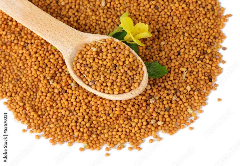 Mustard seeds with mustard flower isolated on white