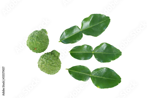 kaffir lime