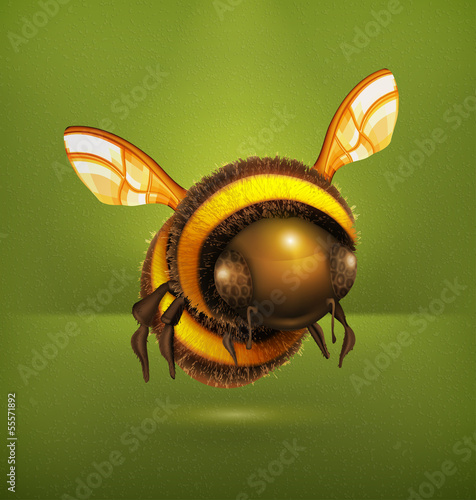 Bee vector icon