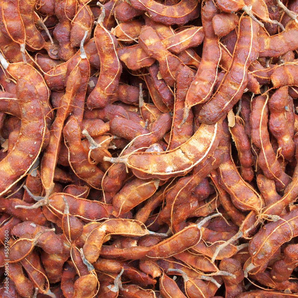 tamarind fruit tamarind fruit