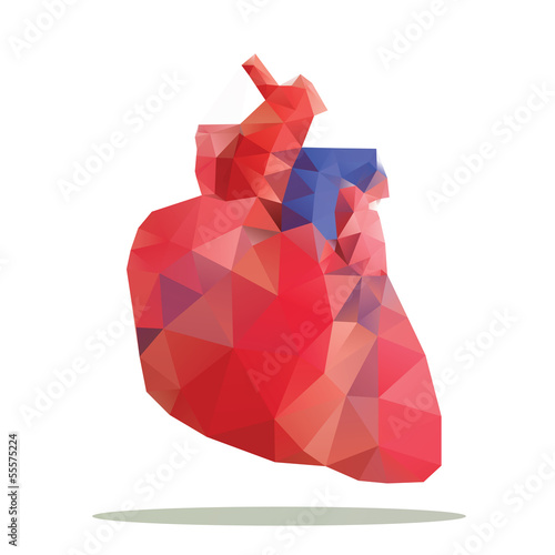 heart polygon vector