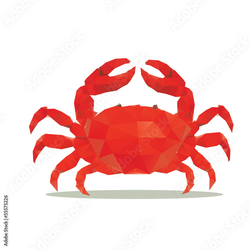 Obraz na płótnie crab polygon vector w salonie