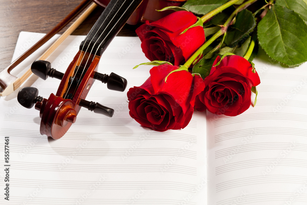 Fototapeta premium Red roses and a violin