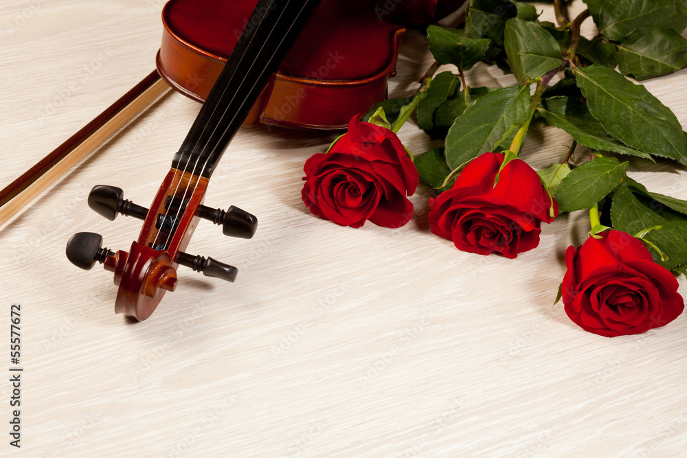 Fototapeta premium Red roses and a violin