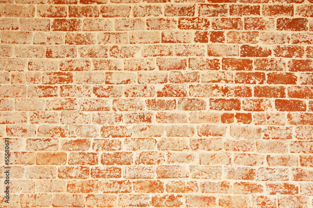 Fototapeta premium old brick wall