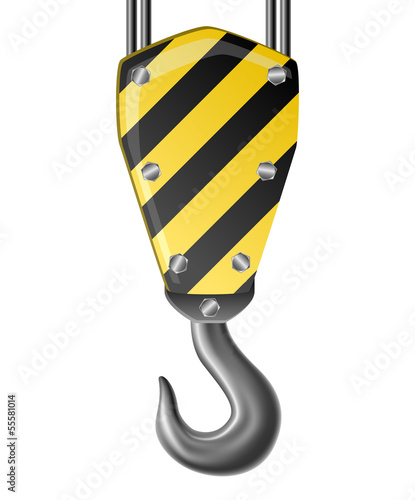 Crane hook