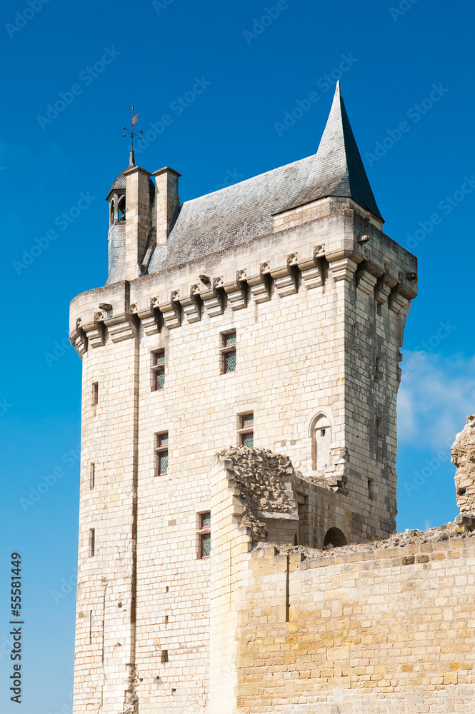 Chinon chateau, France