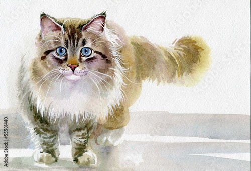 Obraz na płótnie Kolekcja akwarela zwierząt: Cat