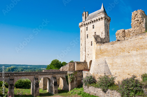 Chinon chateau, France