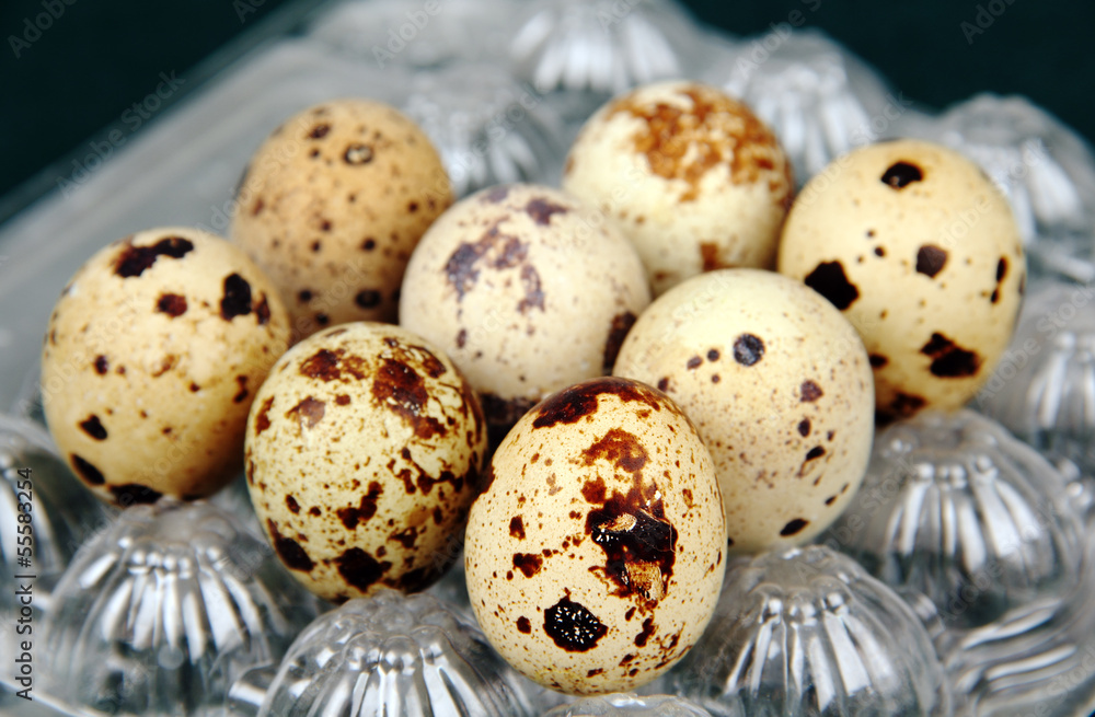 quail eggs in a plastic bag. quail eggs in a plastic bag.