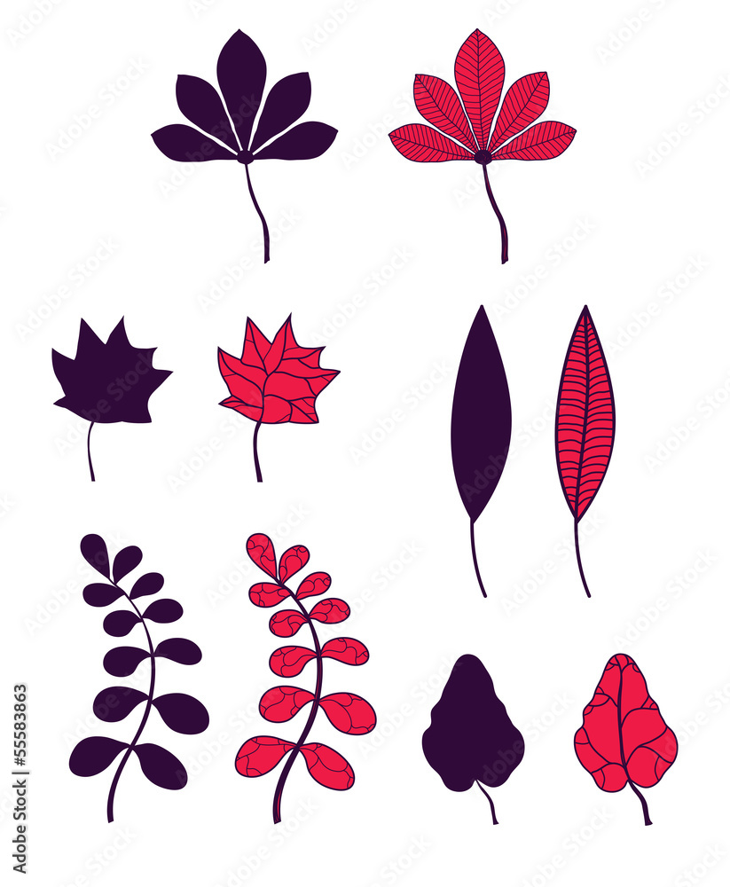 Obraz premium Set of autumn leaves